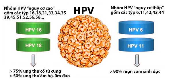 Nhiễm virus HPV ở nam giới nghiêm trọng đến mức nào? - Ảnh 1